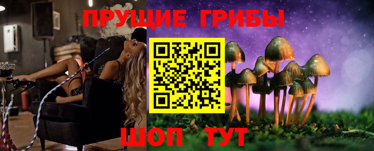 Псилоцибиновые грибы Magic Shrooms  Вход с VPN  Камень-на-Оби  Псилоцибиновые грибы MAGIC MUSHROOMS 